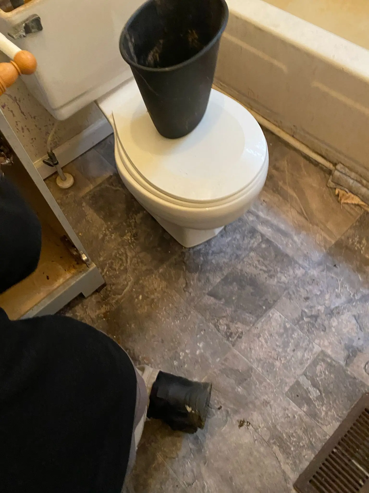 Bathroom Remodeling & Wood Rot Repair